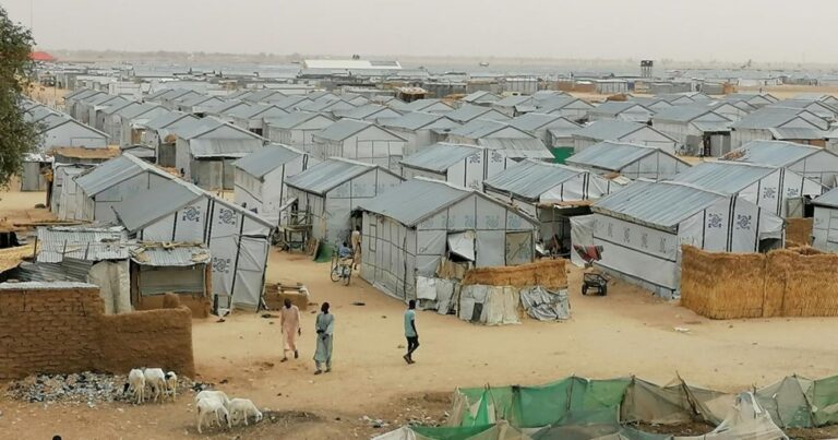 WhatsApp Image 2025-12-05 at 8.06.49 AM